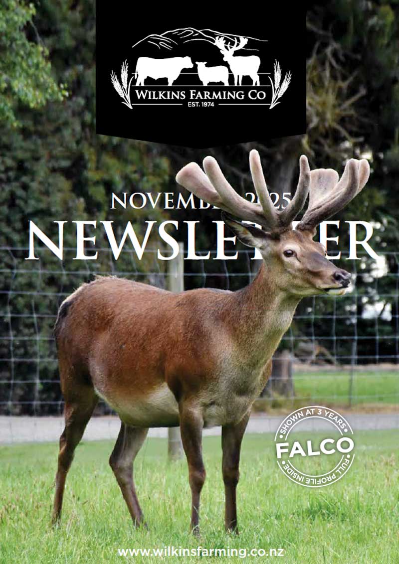 Wilkins Farming Co - November 2025 Dear News Letter